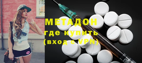 индика Осинники