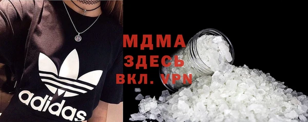 индика Осинники