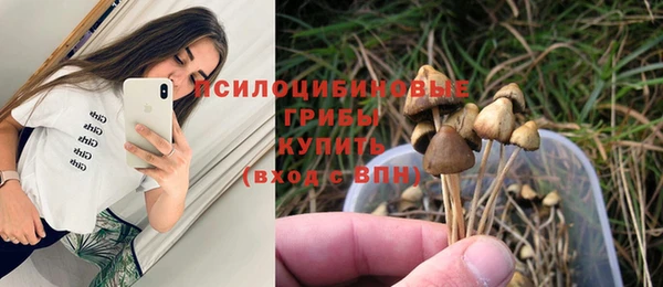 MDMA Елизово