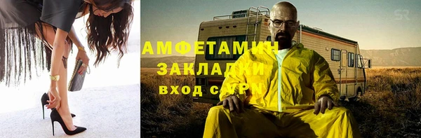 индика Осинники