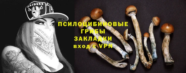 MDMA Елизово